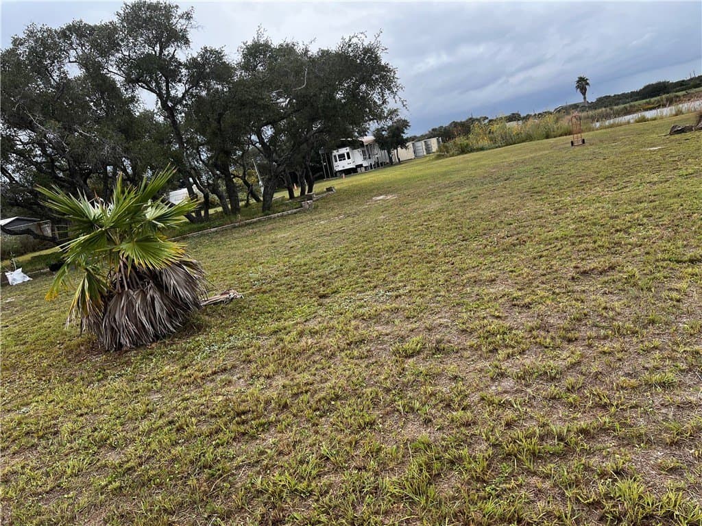 5 acres in San Patricio County gallery image 3