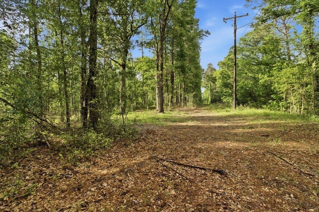 32.57 acres in Texas County gallery image 3