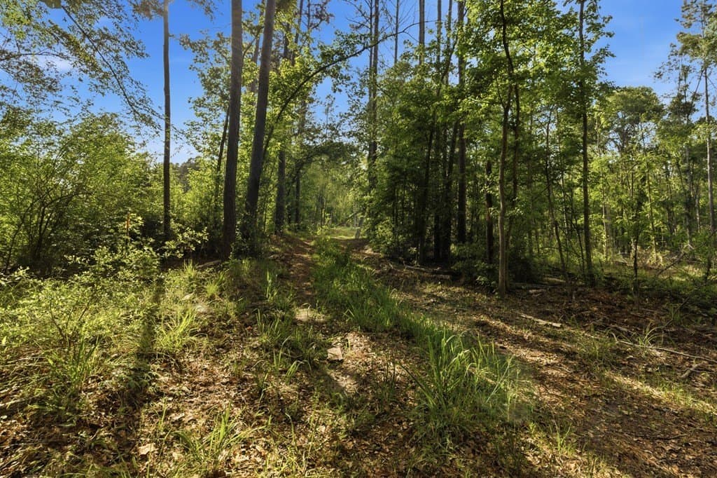 32.57 acres in Texas County featured view