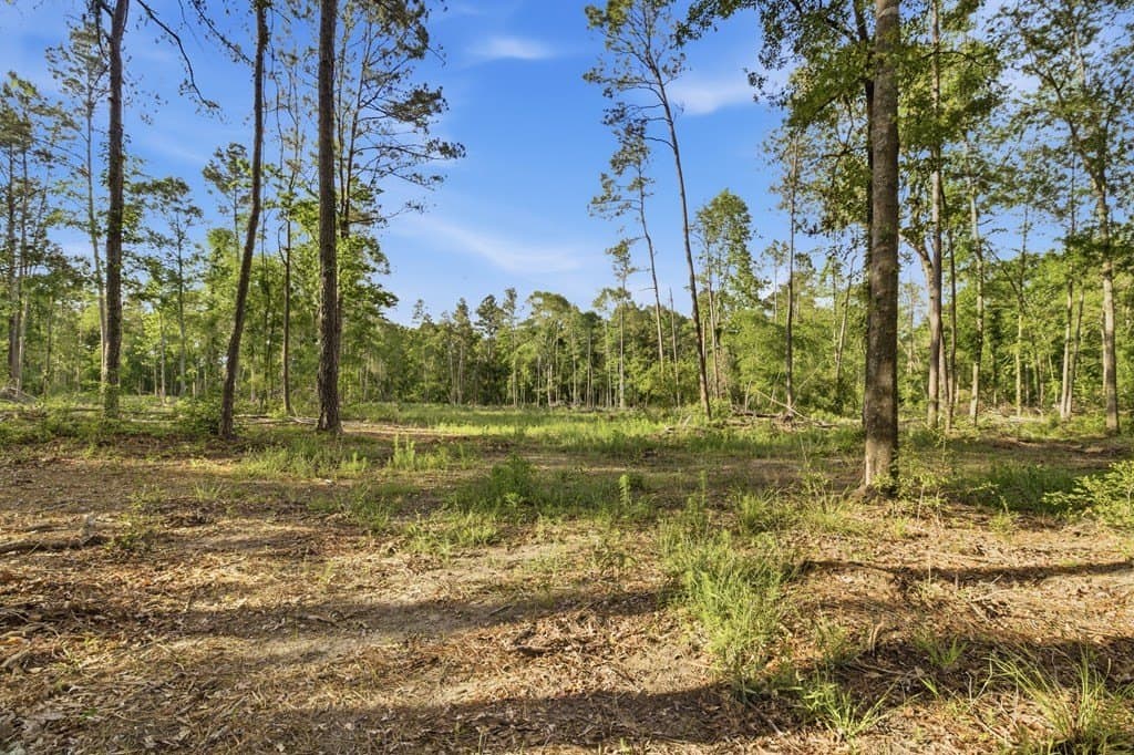 32.57 acres in Texas County gallery image 4