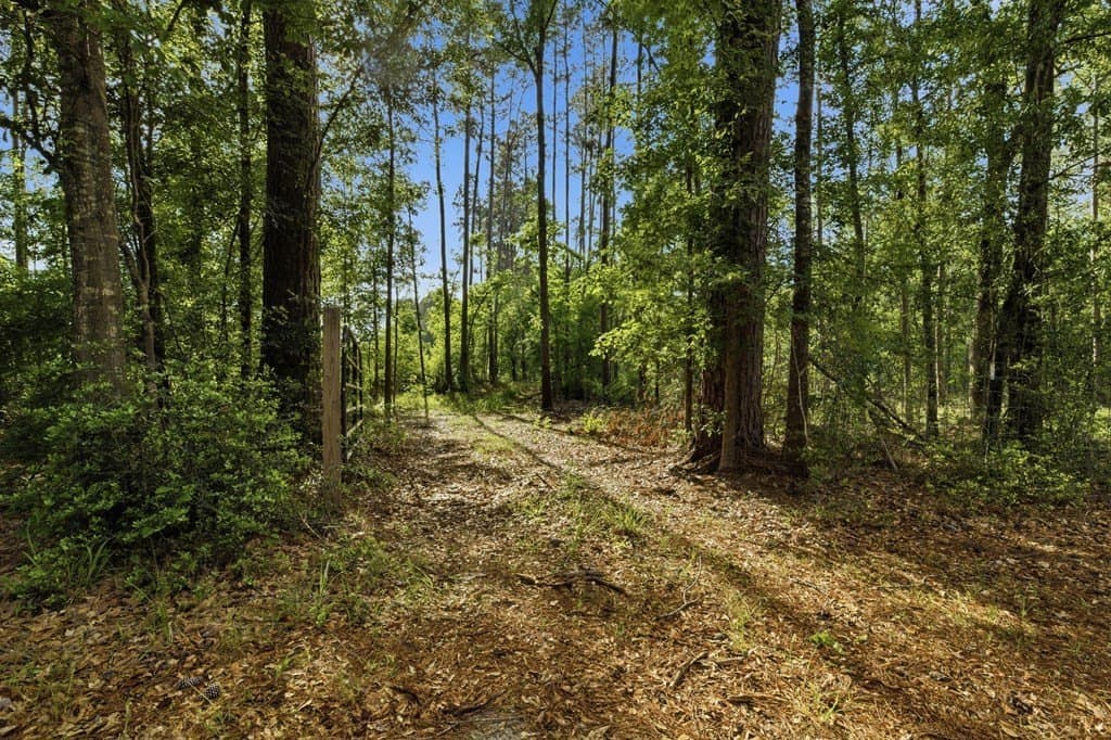 32.57 acres in Texas County gallery image 2