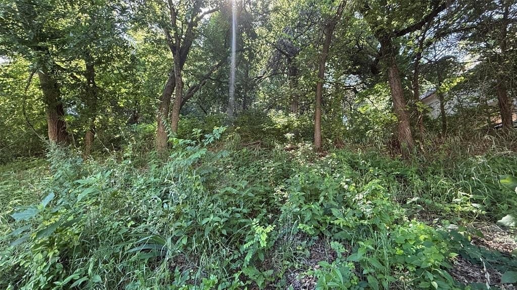 0.42 acres in Dallas County gallery image 3