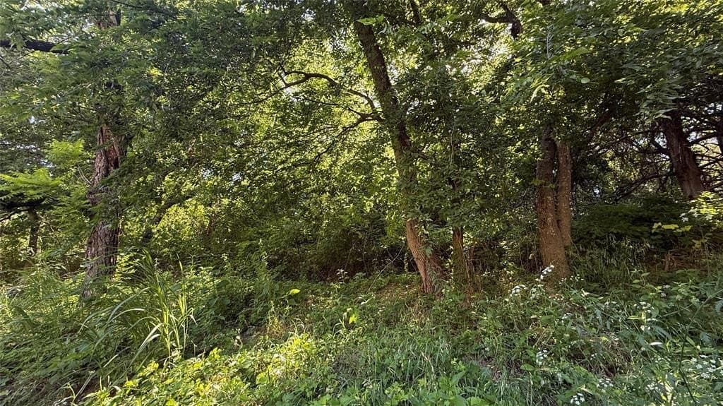 0.42 acres in Dallas County featured view