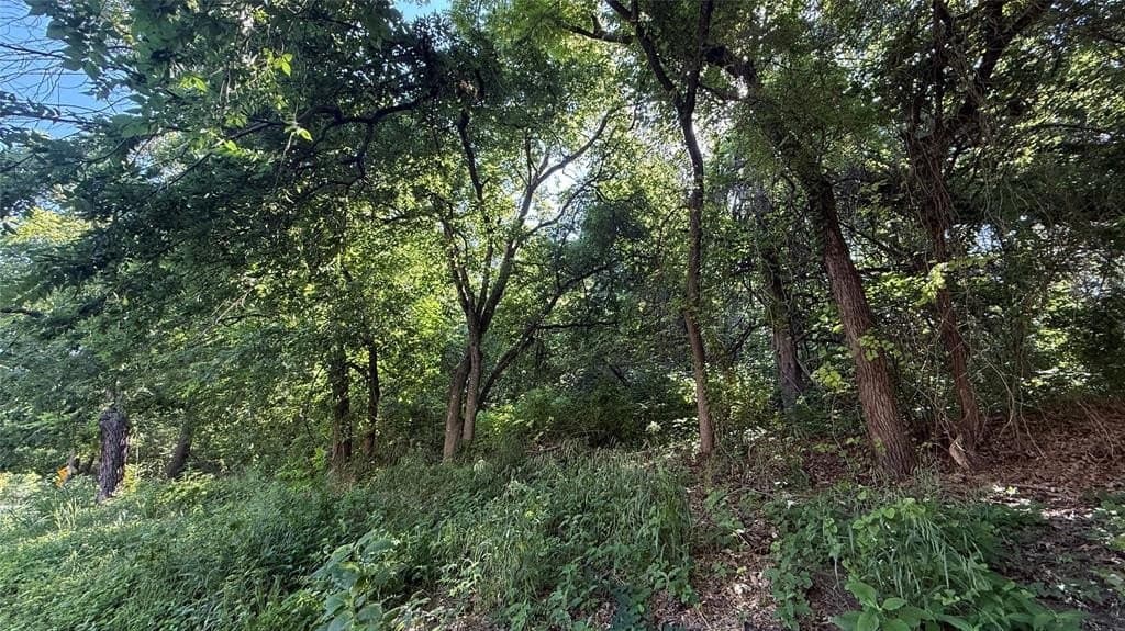 0.42 acres in Dallas County gallery image 2
