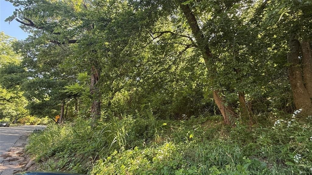 0.42 acres in Dallas County gallery image 4