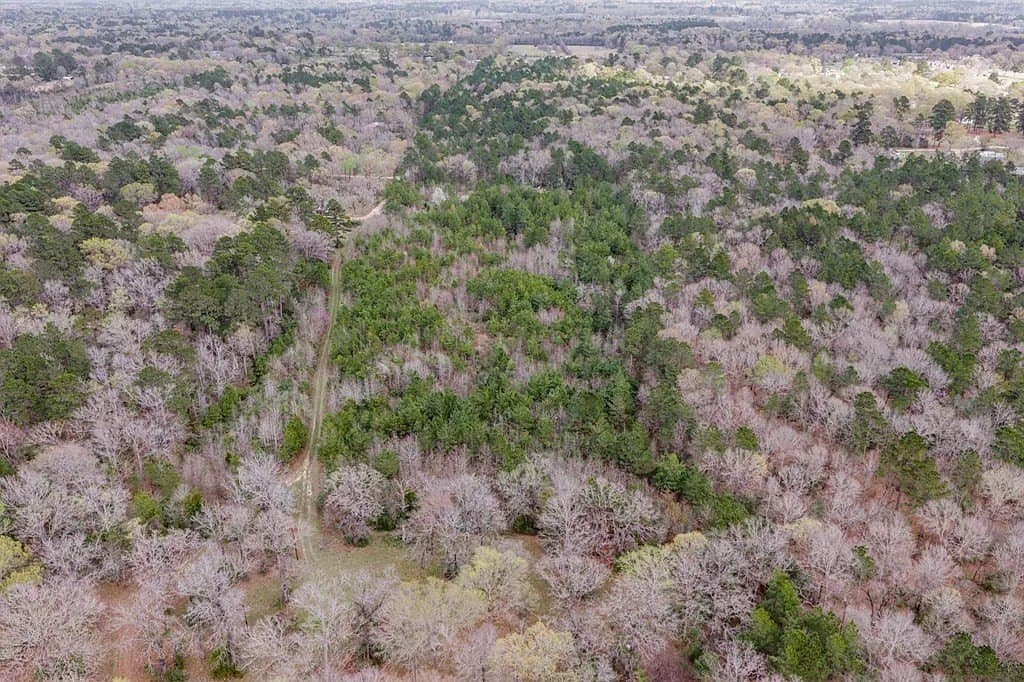 2.14 acres in Texas County gallery image 4