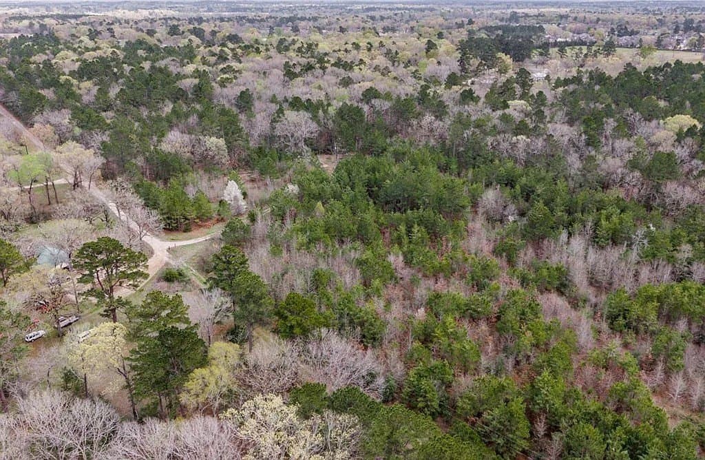 2.14 acres in Texas County gallery image 3