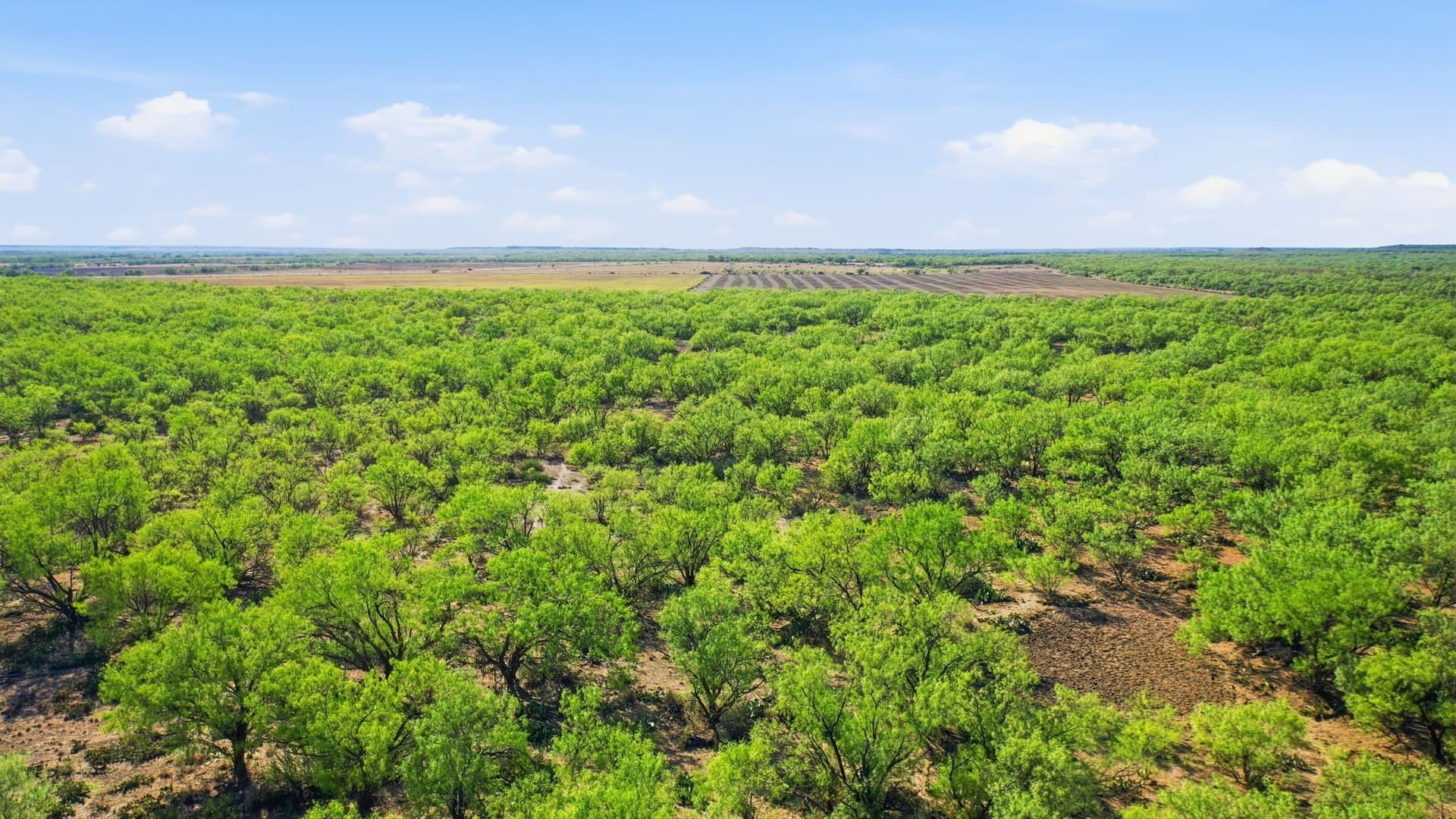 152.3 acres in Throckmorton County - photo 37