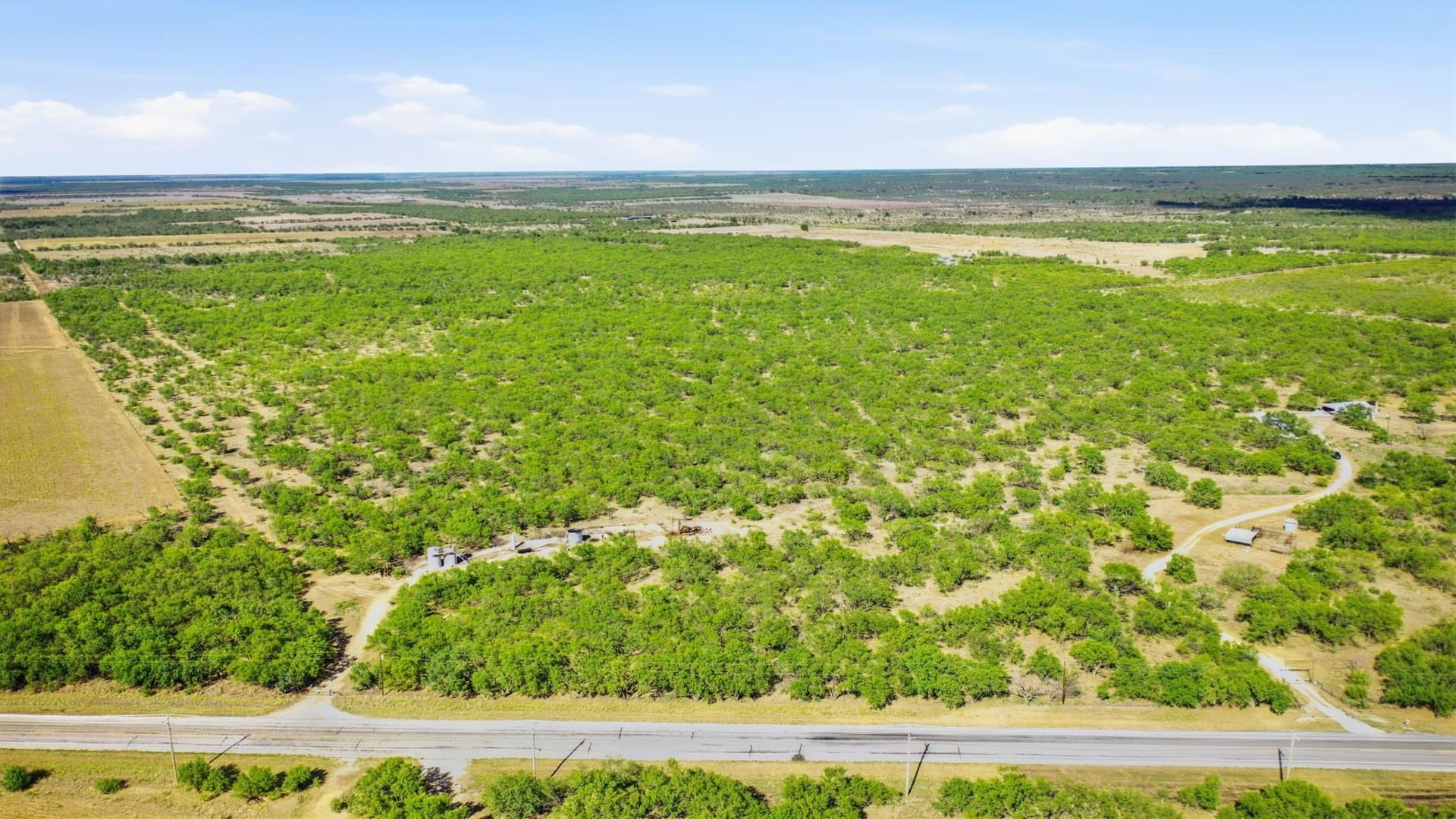 152.3 acres in Throckmorton County - photo 22