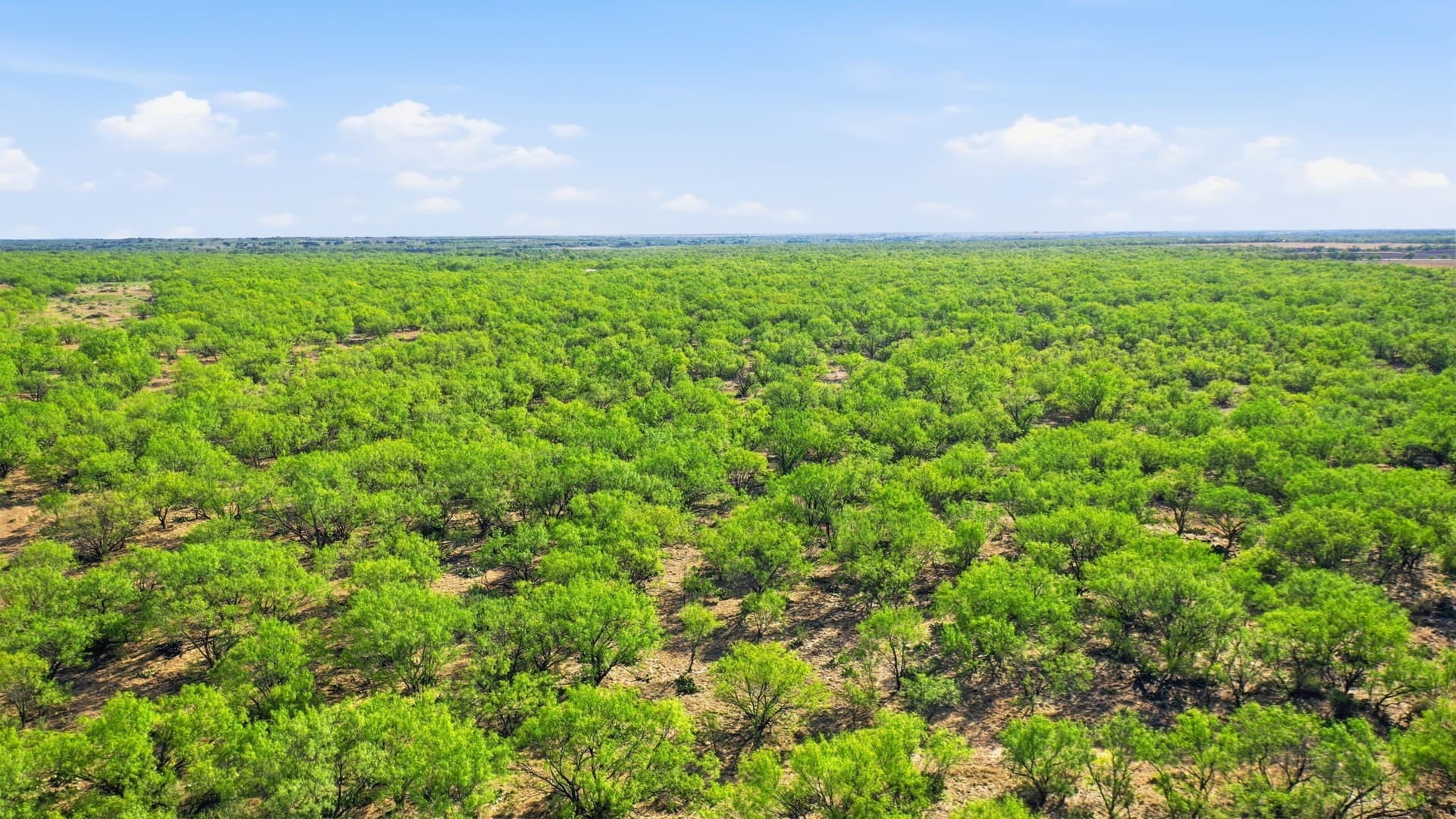 152.3 acres in Throckmorton County - photo 36
