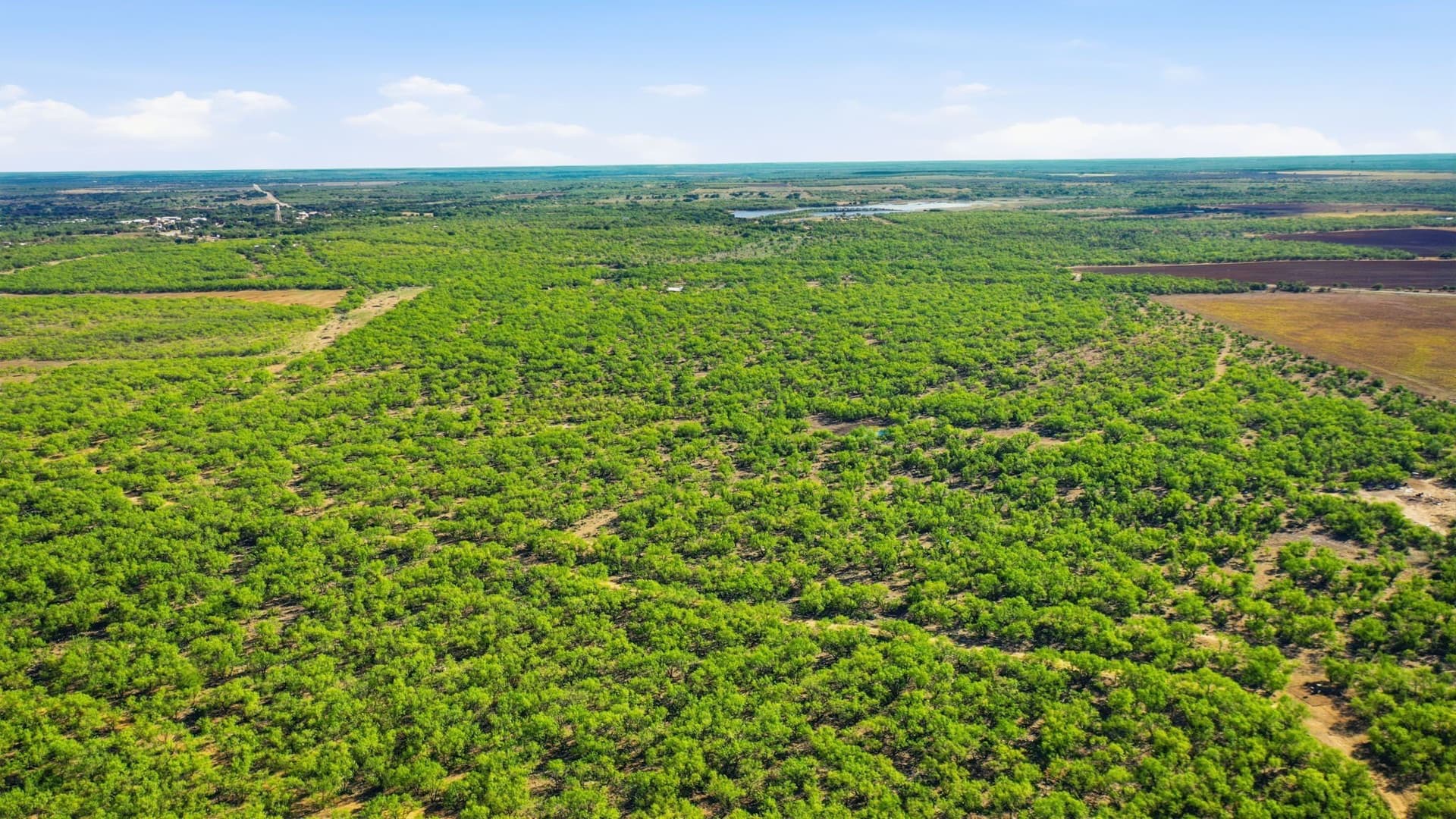 152.3 acres in Throckmorton County - photo 32