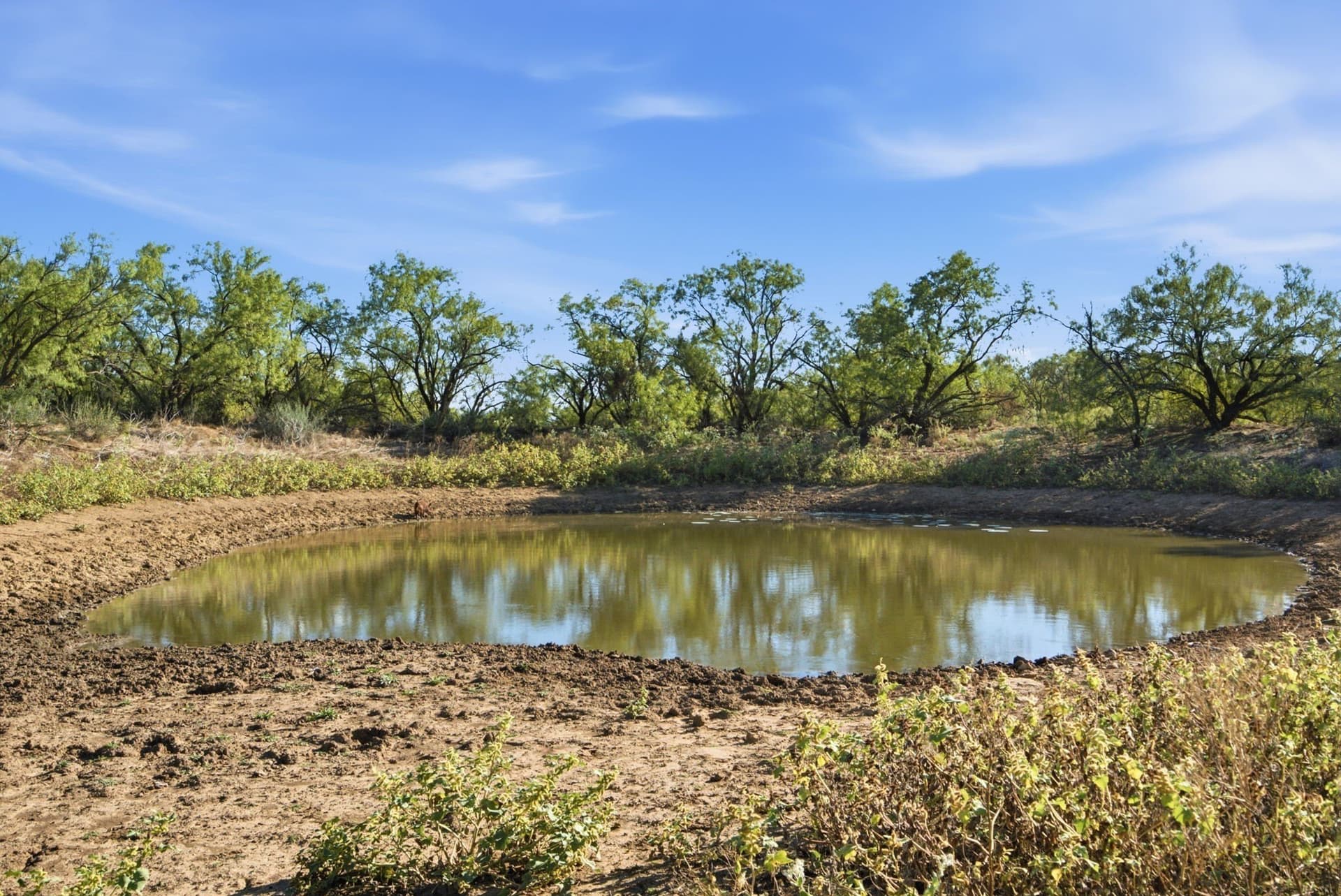 152.3 acres in Throckmorton County - photo 21