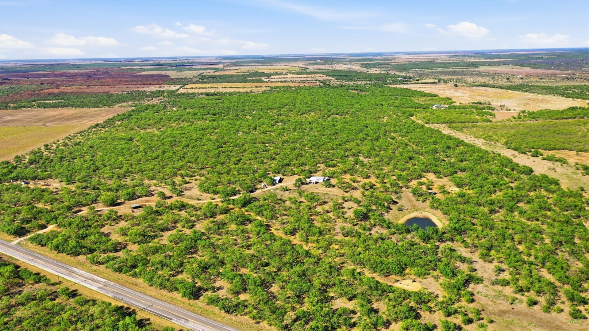 152.3 acres in Throckmorton County - photo 23