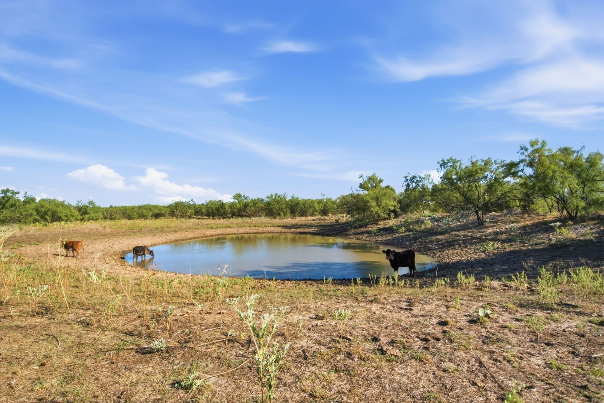 152.3 acres in Throckmorton County - photo 20