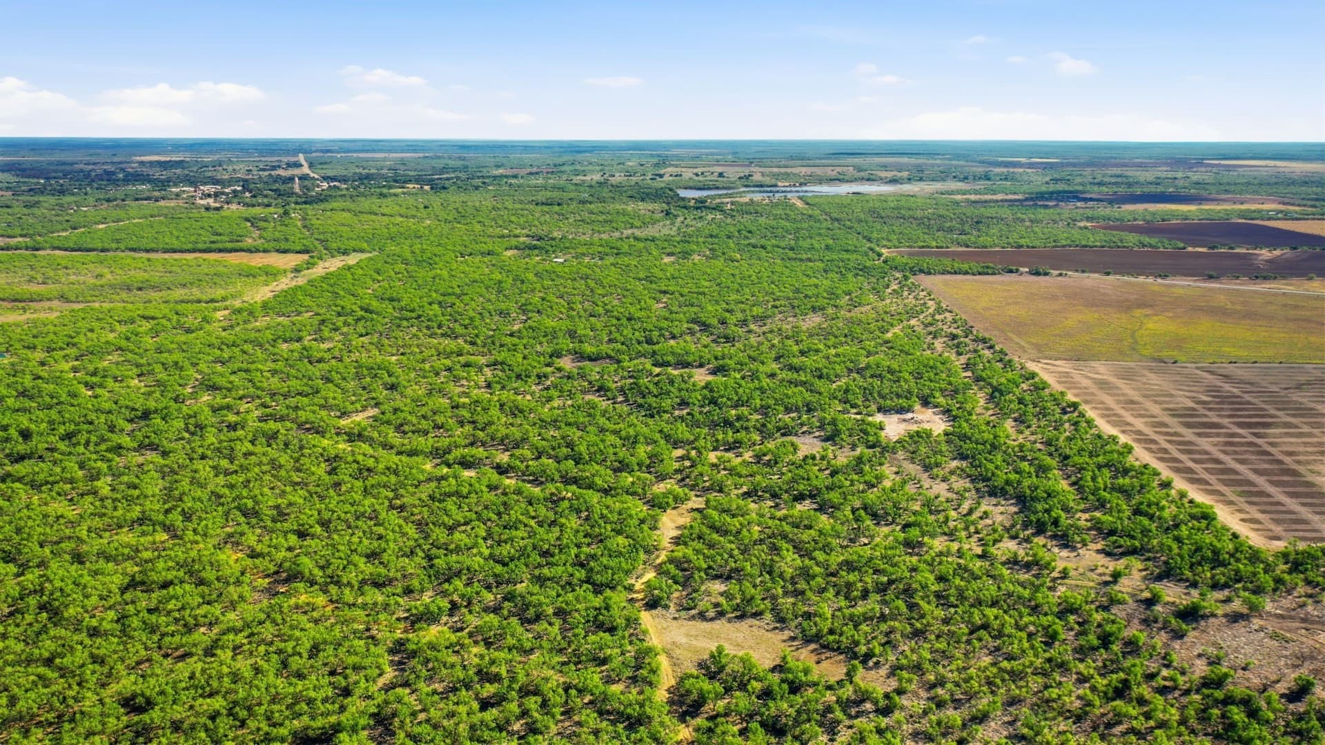 152.3 acres in Throckmorton County - photo 34
