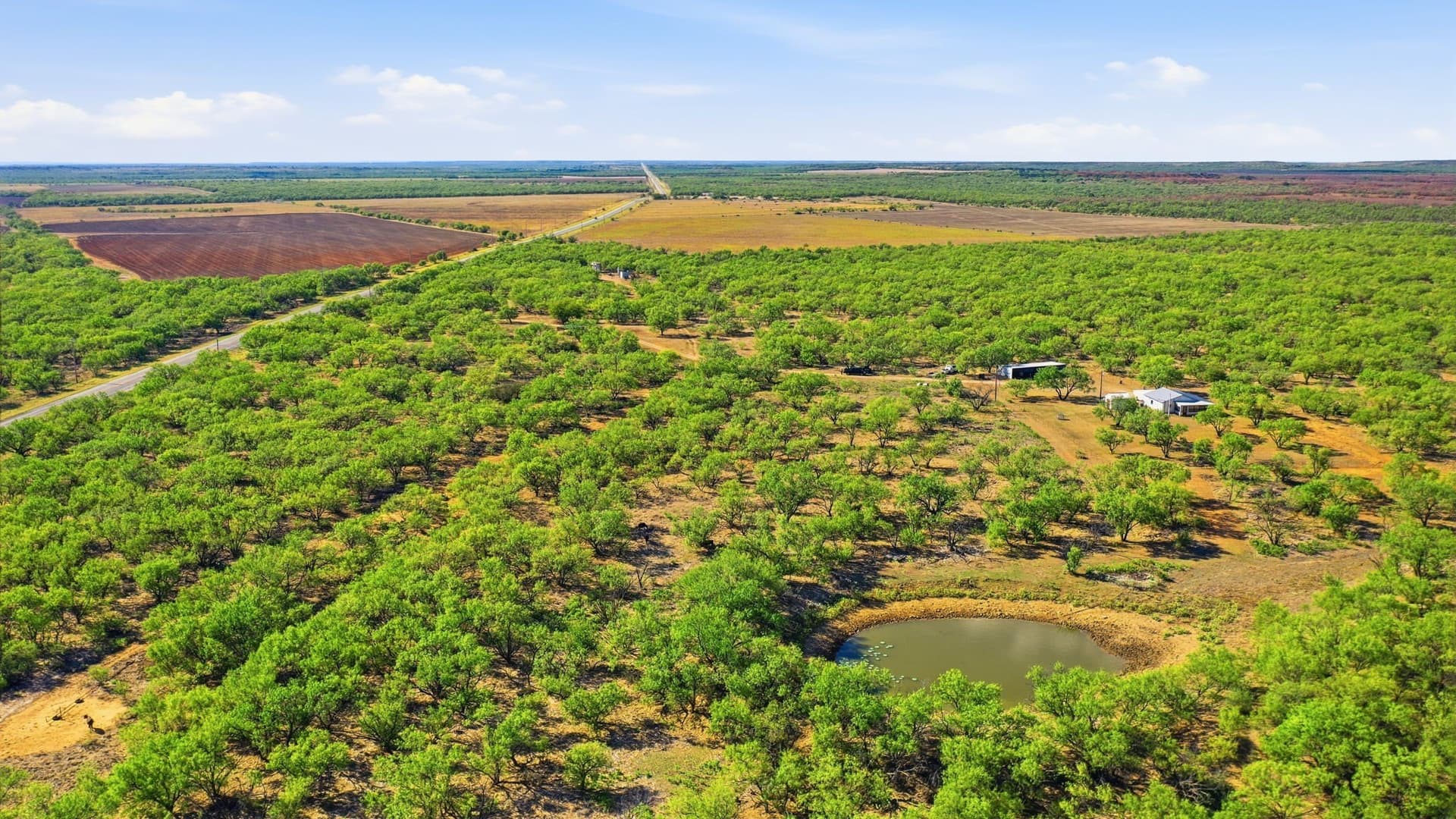 152.3 acres in Throckmorton County - photo 27