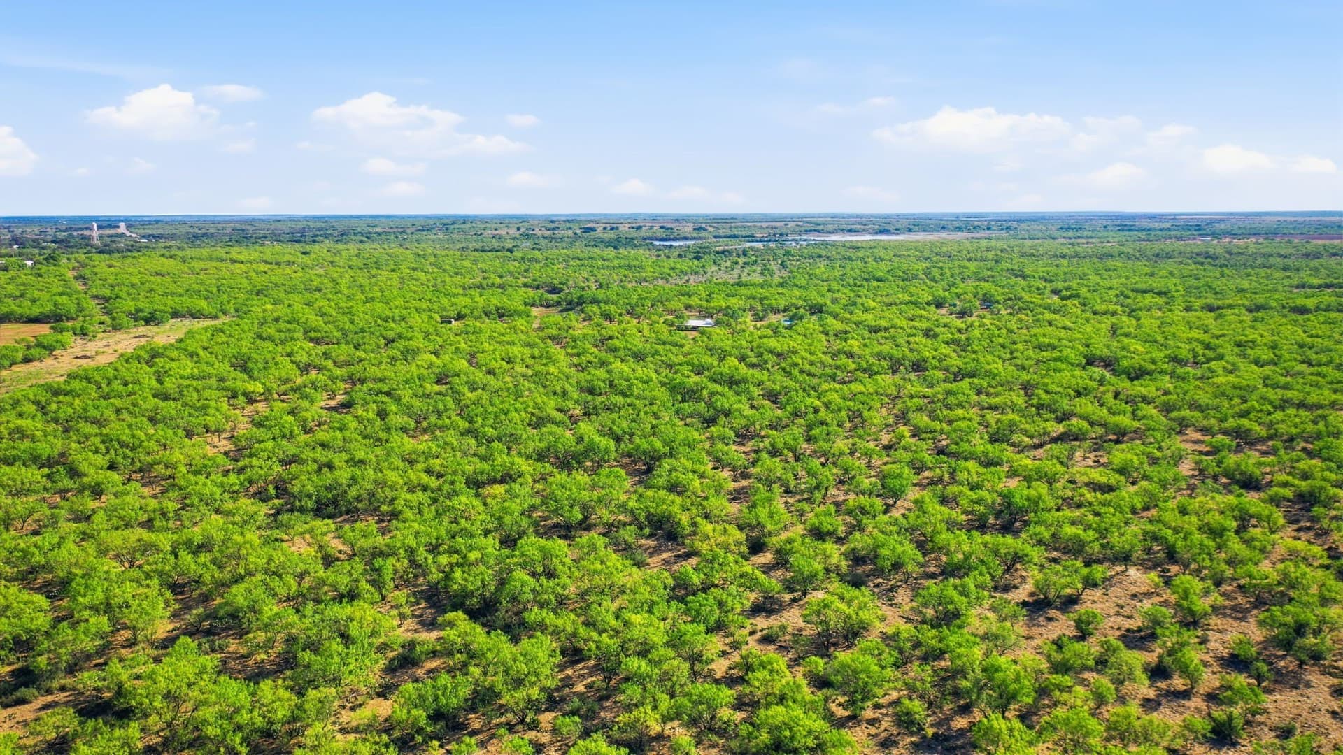 152.3 acres in Throckmorton County - photo 40