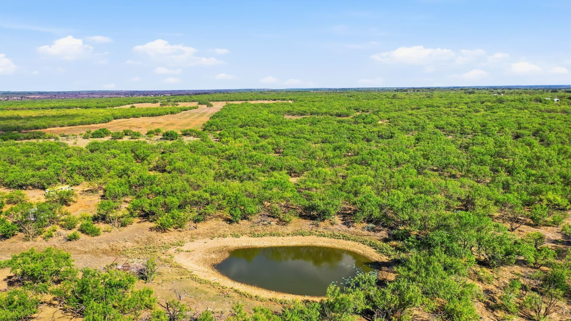152.3 acres in Throckmorton County - photo 29