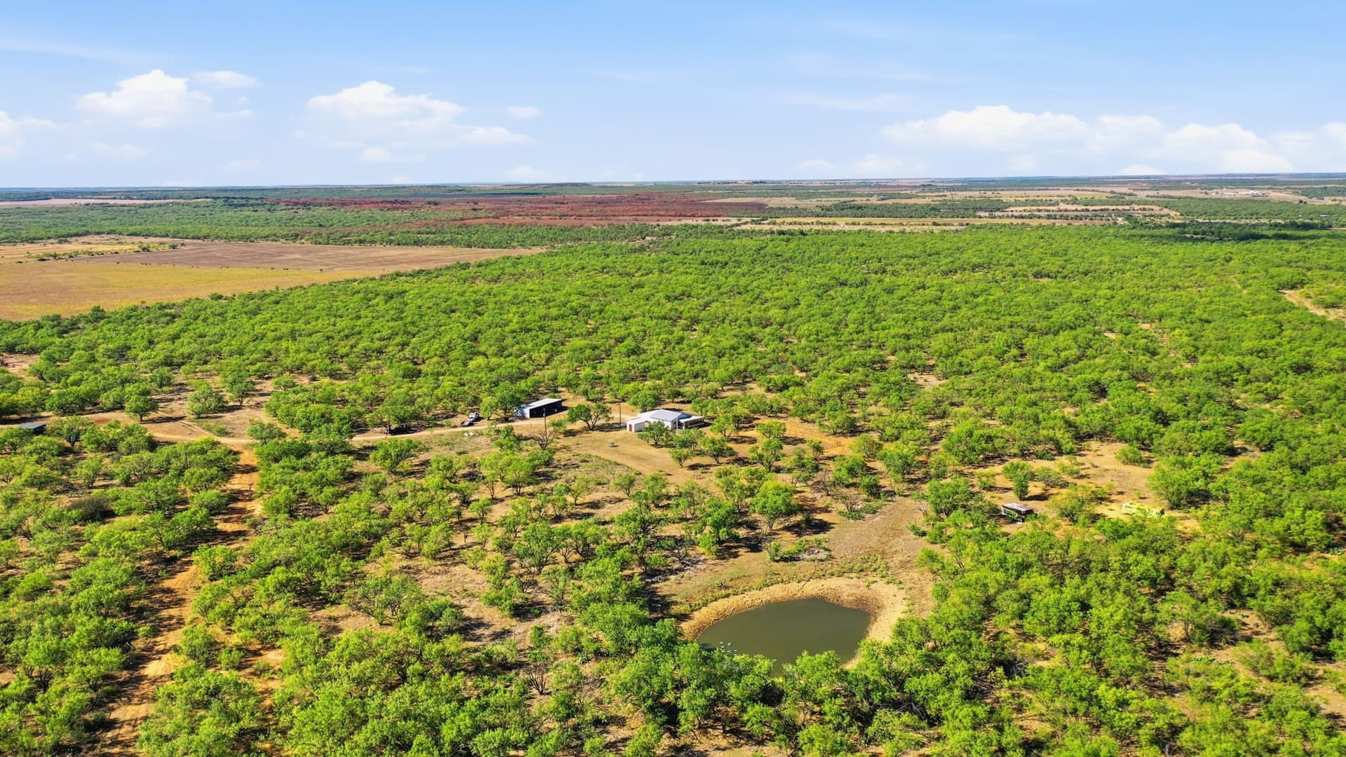 152.3 acres in Throckmorton County - photo 26