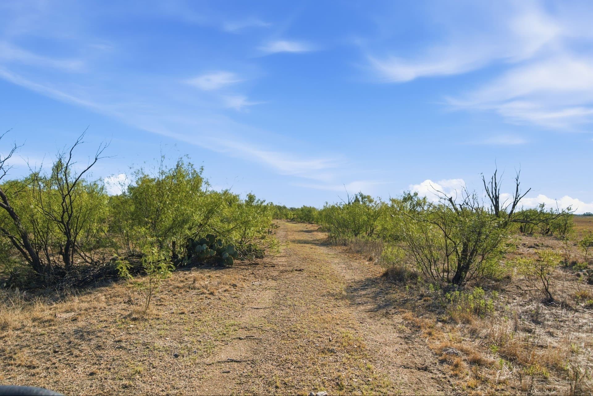 152.3 acres in Throckmorton County - photo 19