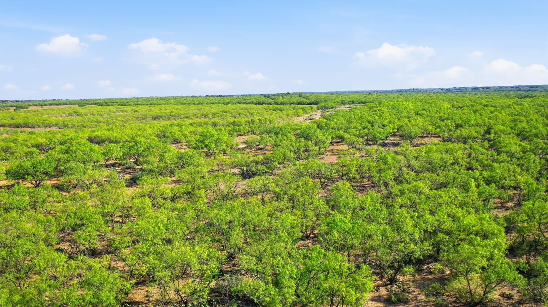 152.3 acres in Throckmorton County - photo 39