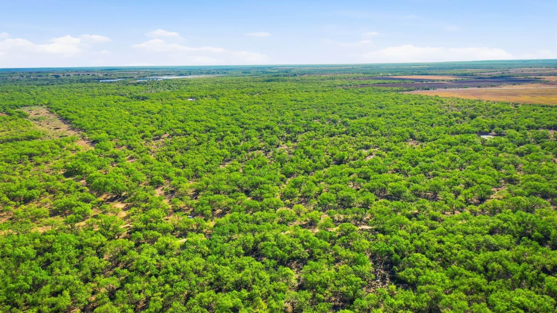 152.3 acres in Throckmorton County - photo 31