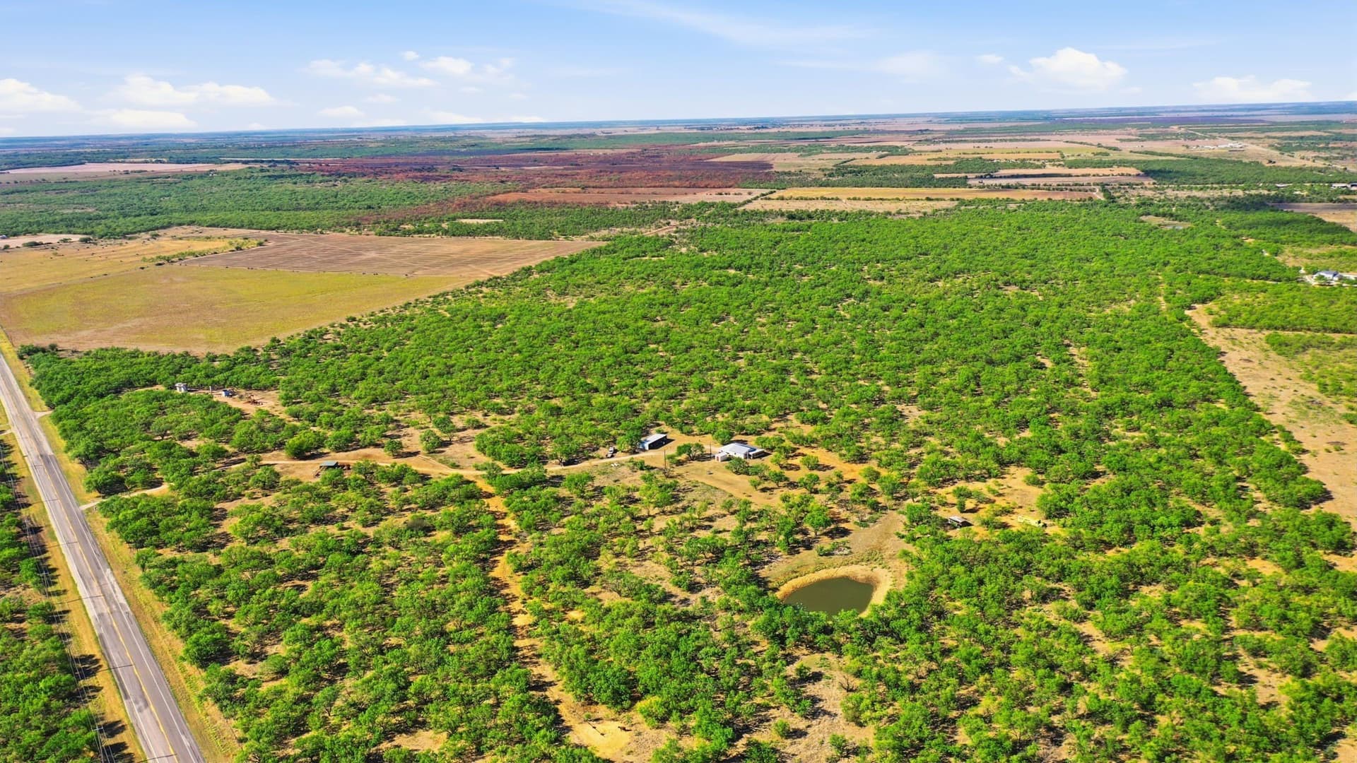 152.3 acres in Throckmorton County - photo 25