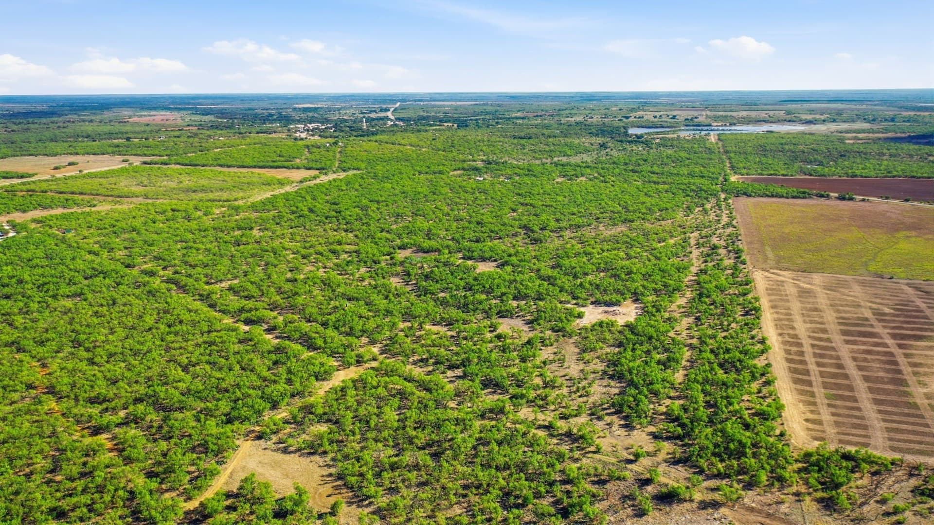 152.3 acres in Throckmorton County - photo 35