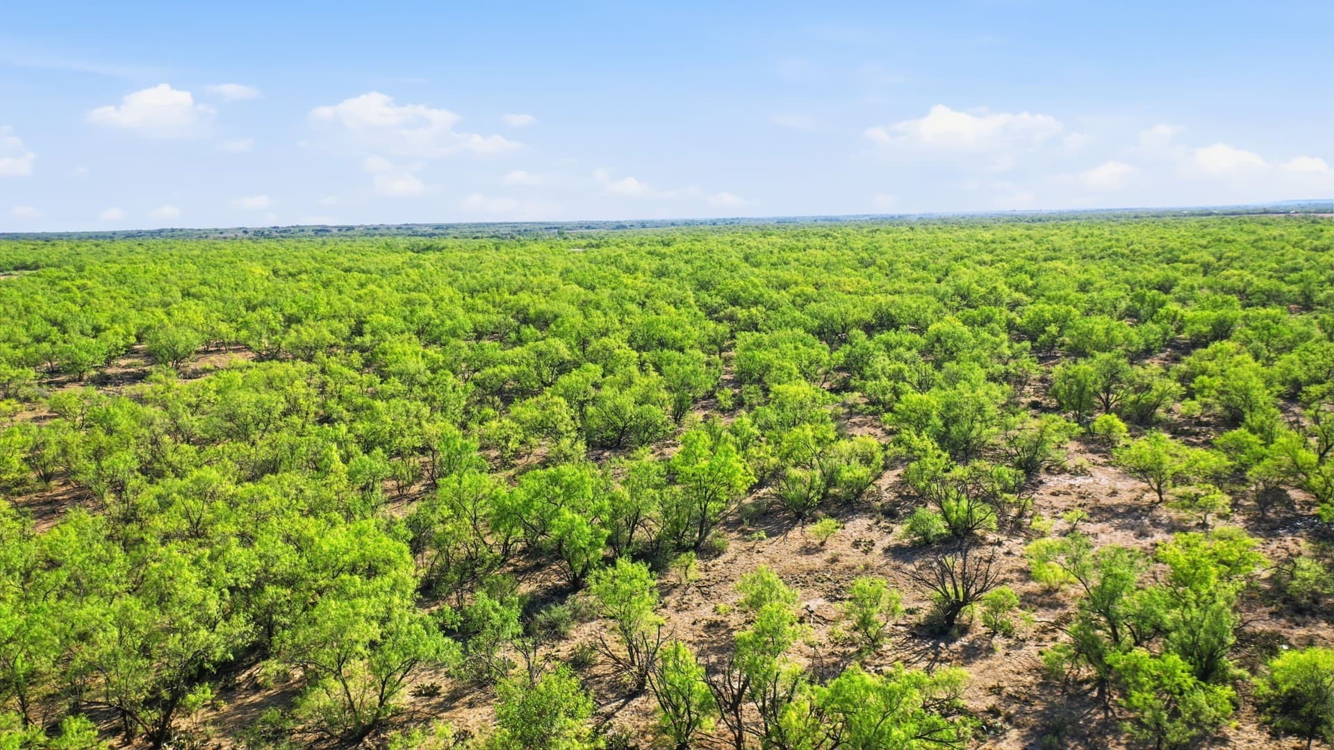 152.3 acres in Throckmorton County - photo 38