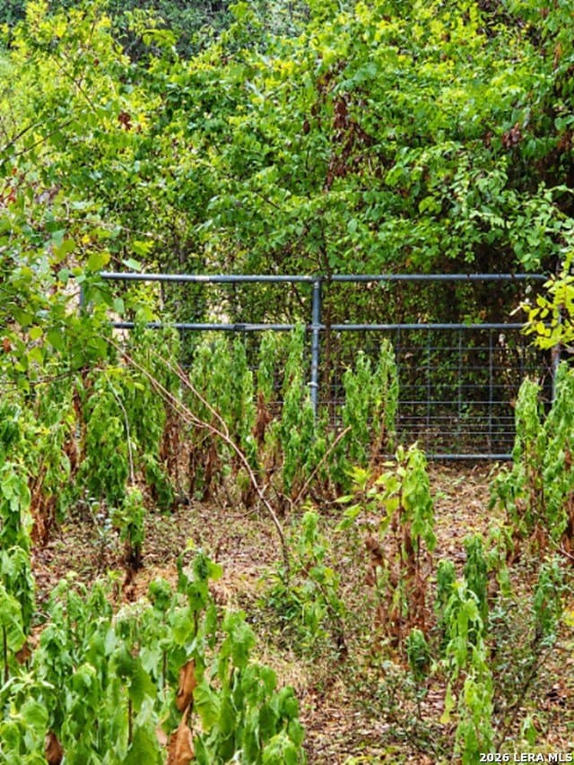 1.9 acres in Bexar County - photo 6