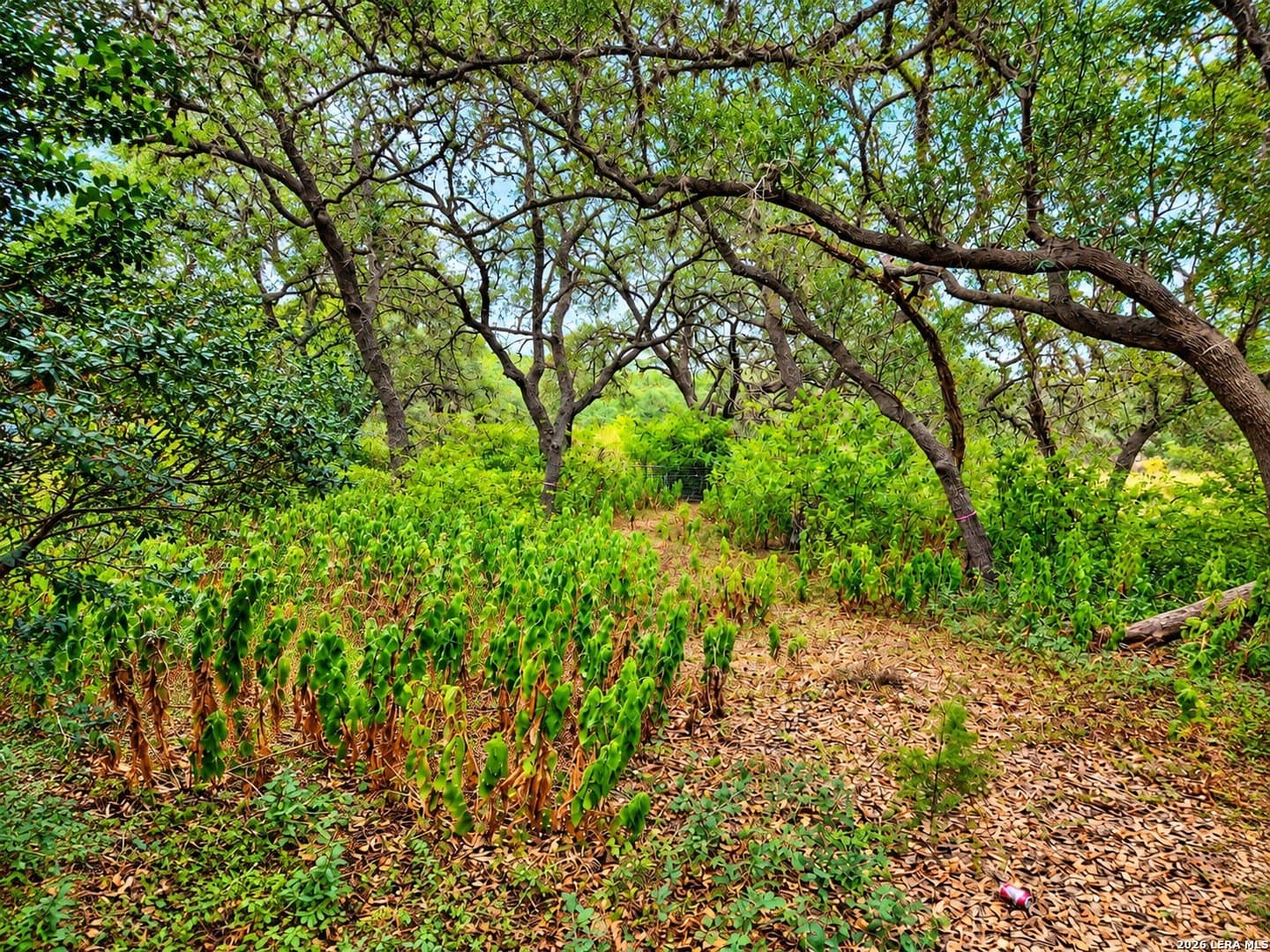 1.9 acres in Bexar County
