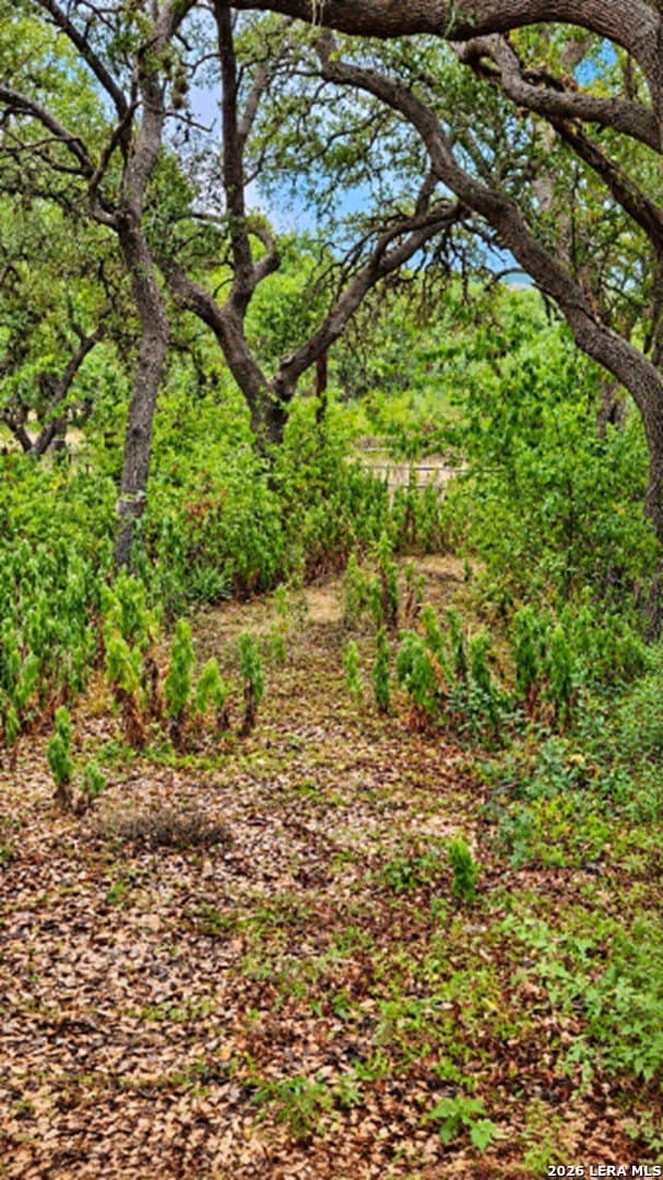 1.9 acres in Bexar County - photo 4