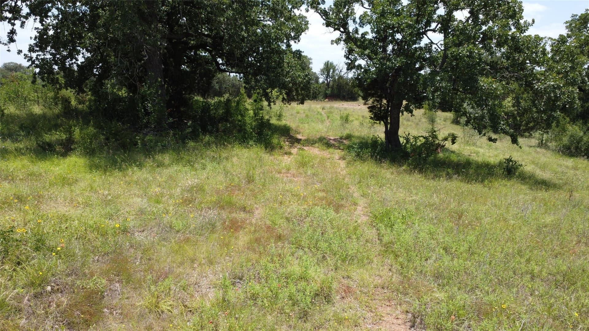 10.8 acres in Palo Pinto County - photo 10