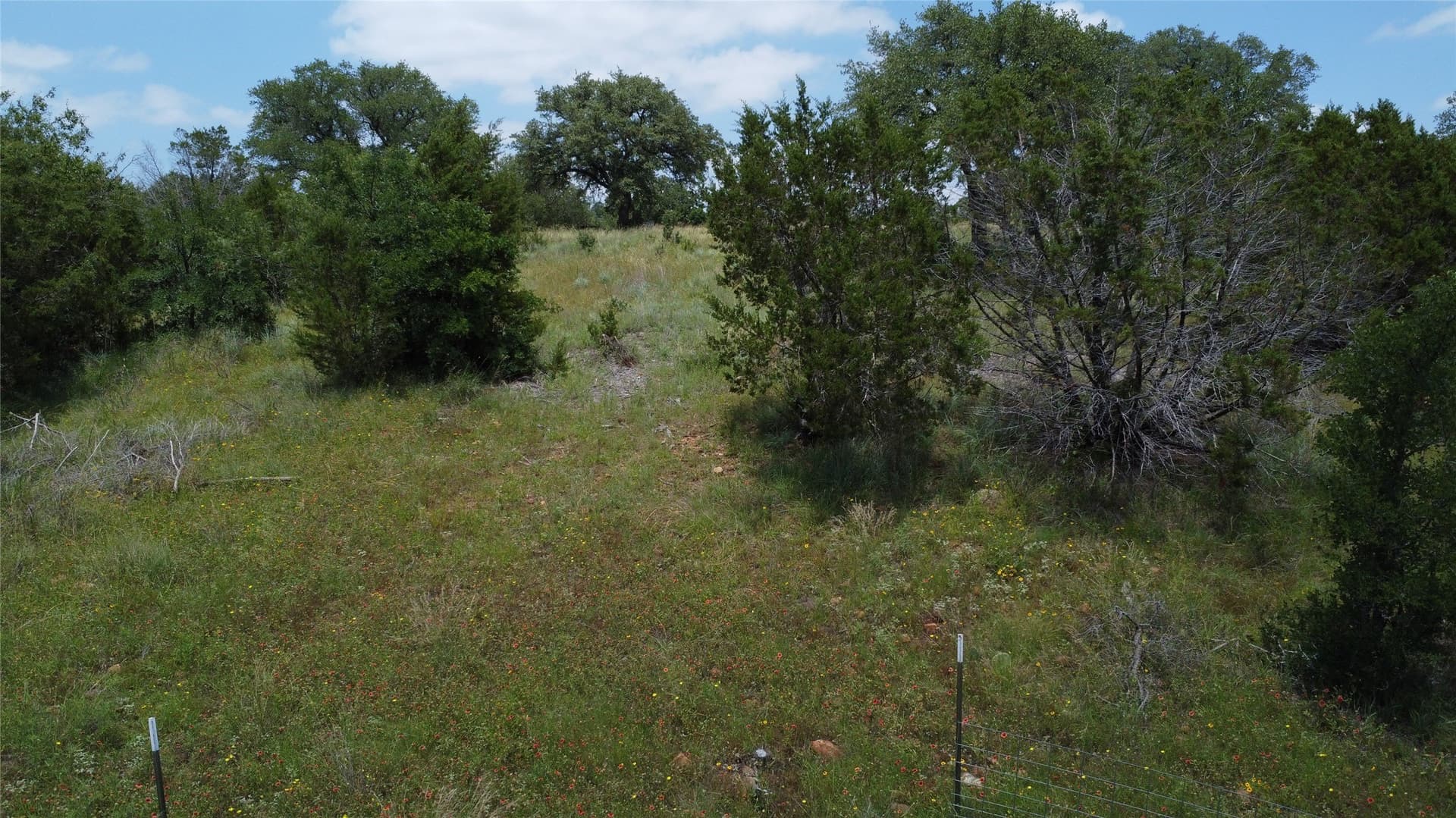 10.8 acres in Palo Pinto County - photo 6