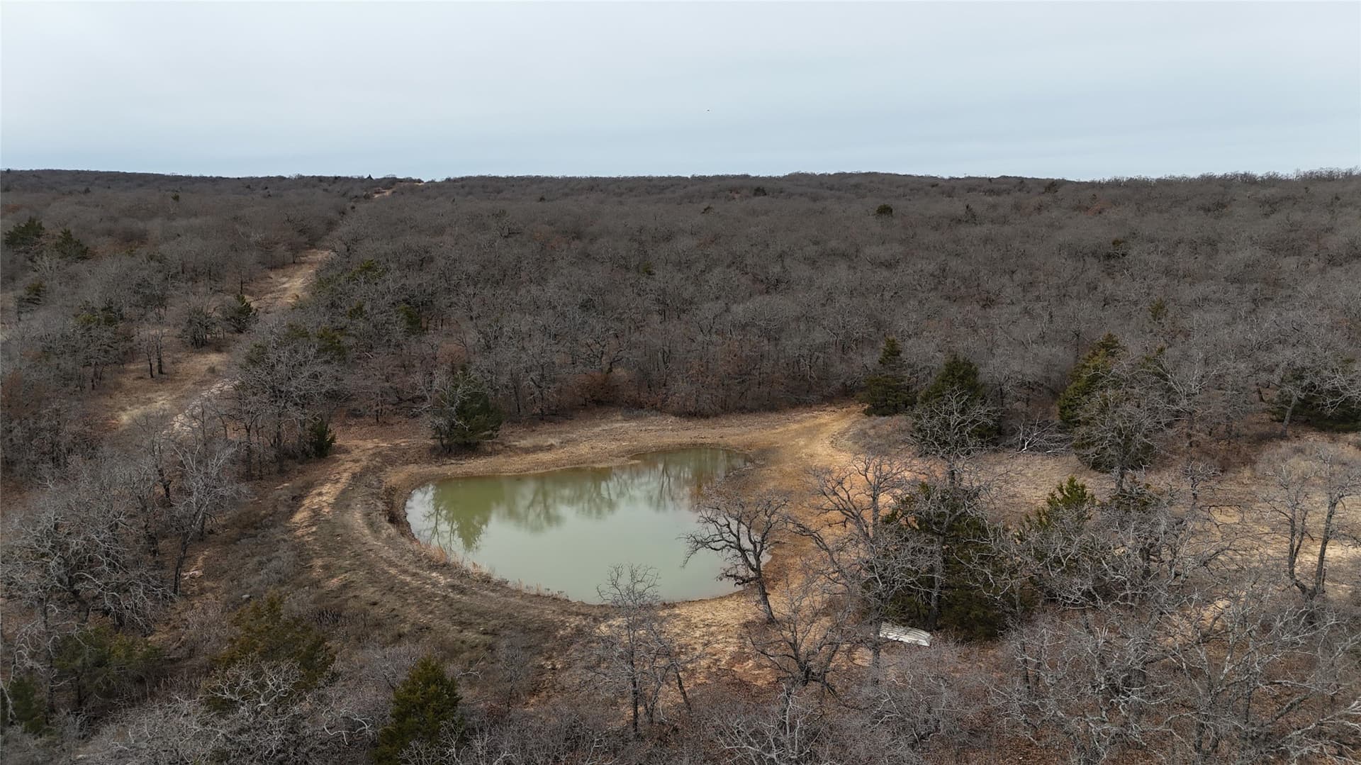 83.22 acres in Montague County gallery image 4