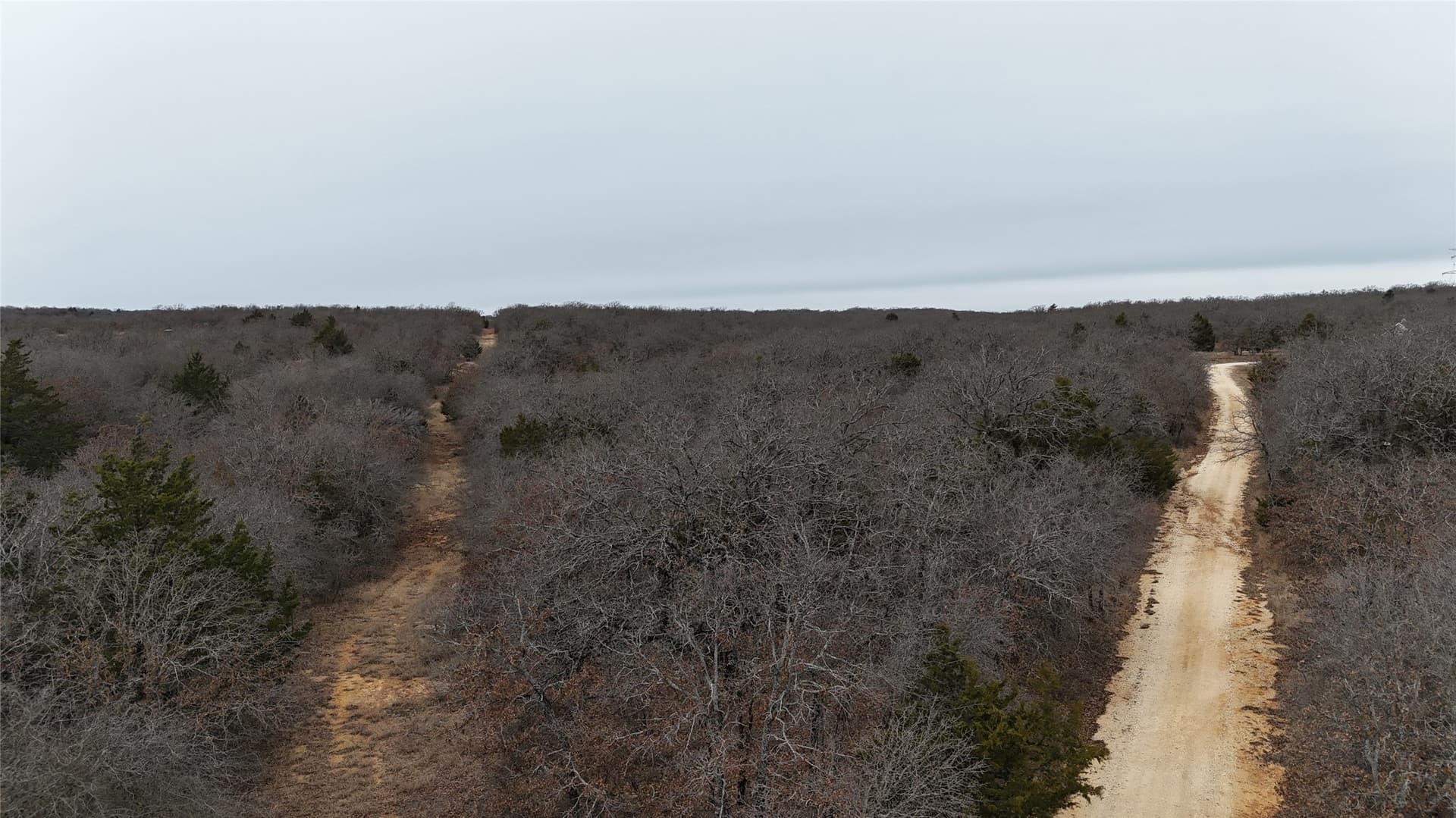 83.22 acres in Montague County - photo 6
