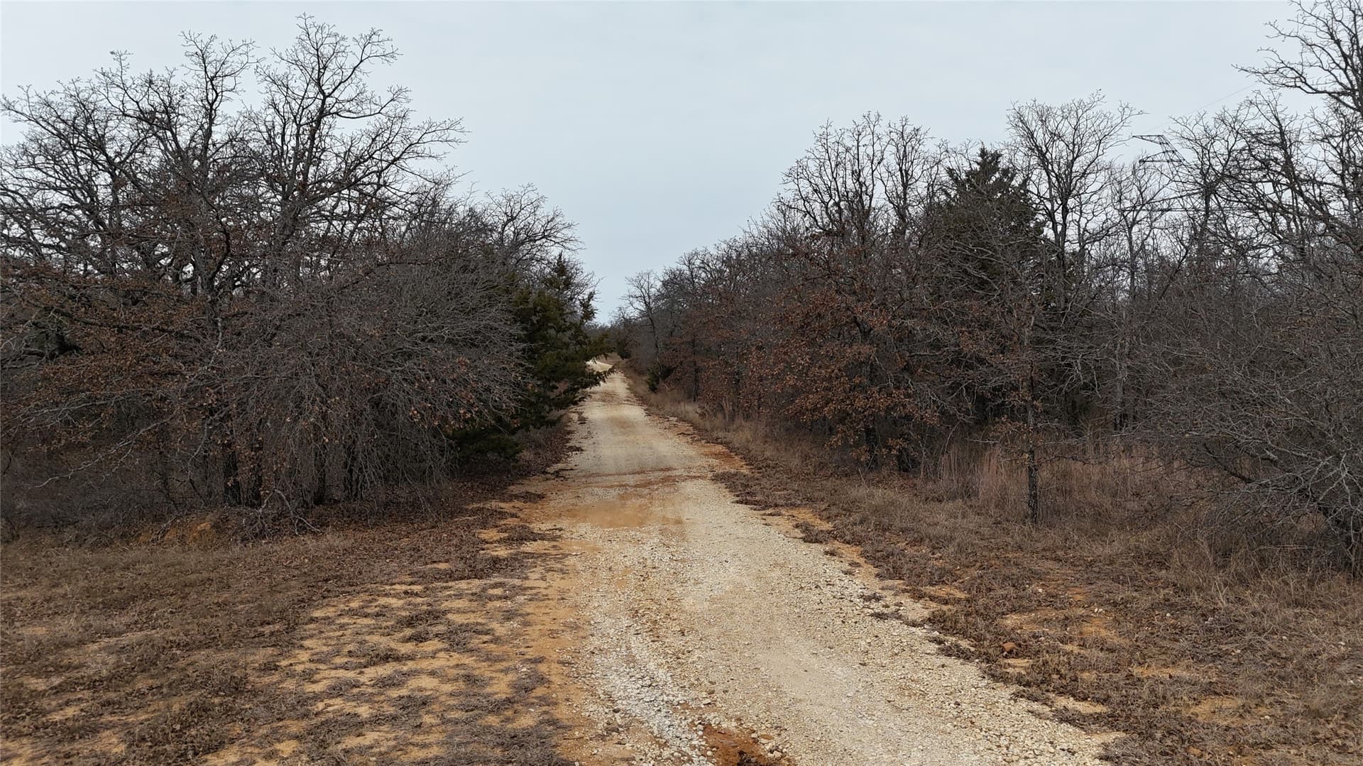 83.22 acres in Montague County - photo 7
