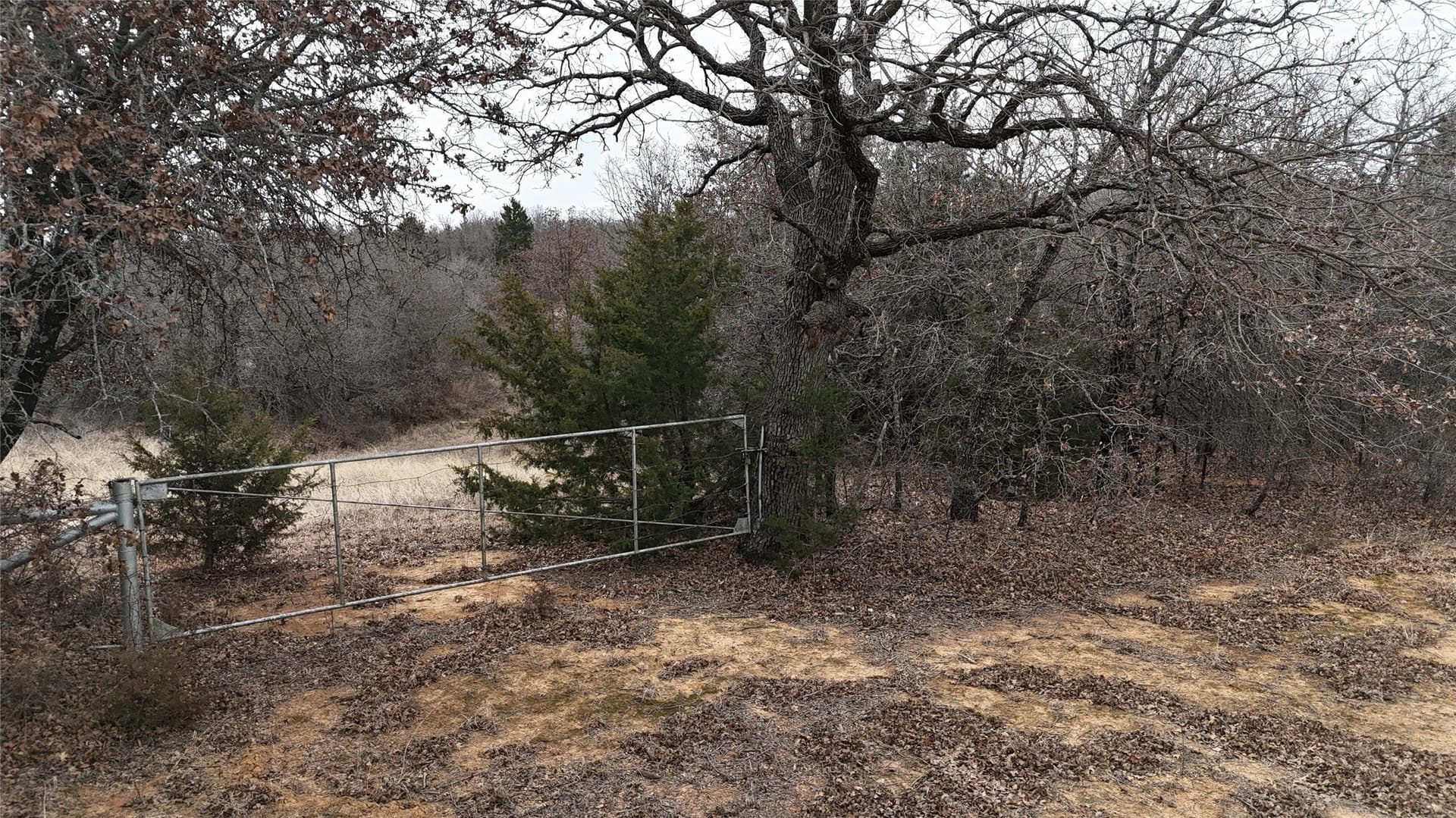 83.22 acres in Montague County - photo 10