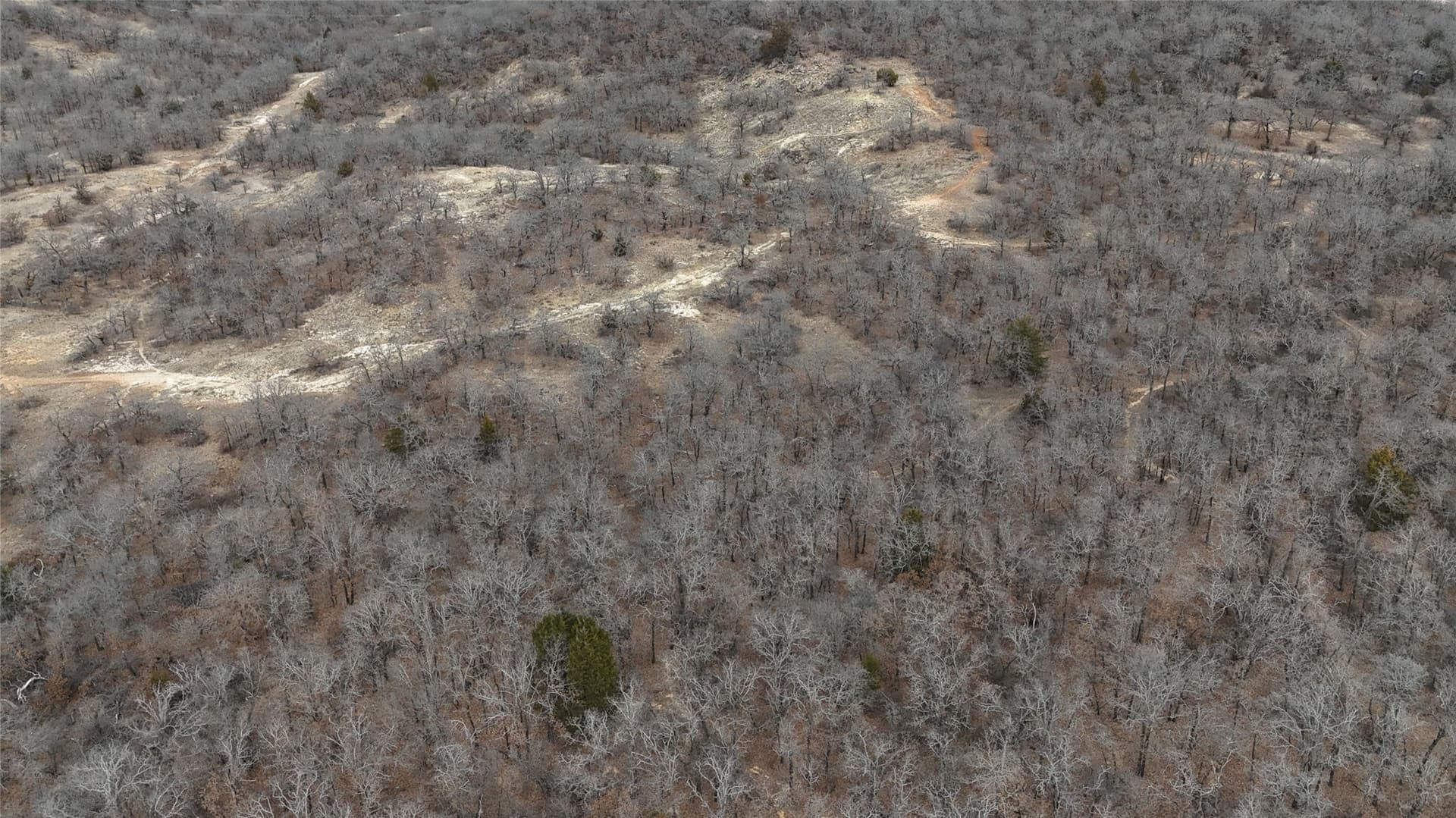83.22 acres in Montague County gallery image 3
