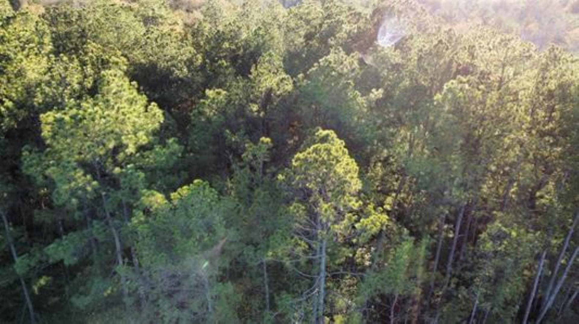 28.2 acres in Texas County featured view