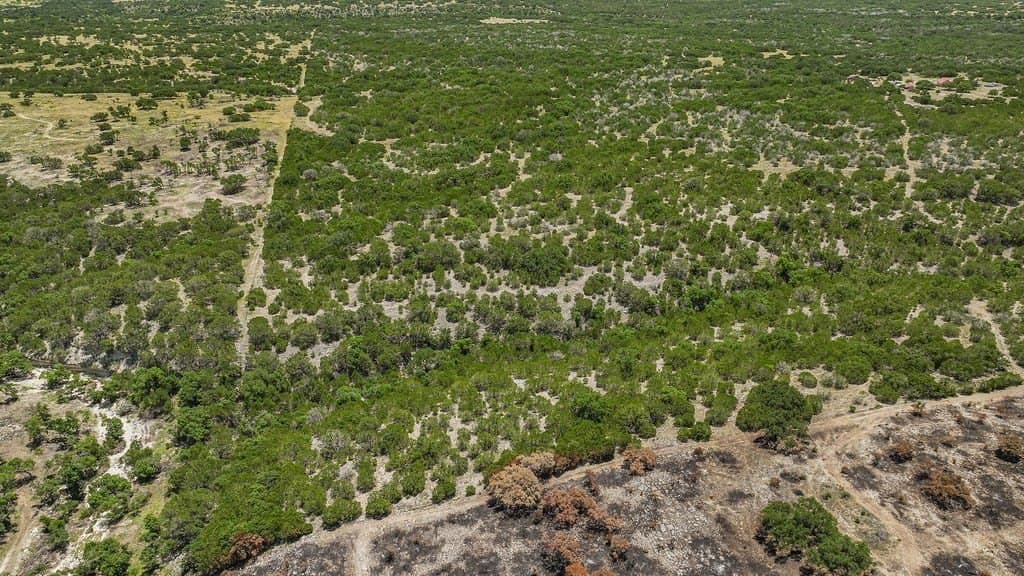 125 acres in Kimble County - photo 27