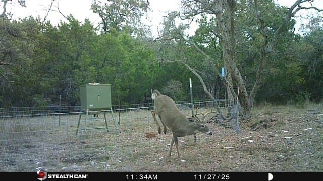 125 acres in Kimble County - photo 36