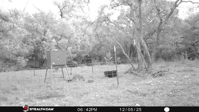 125 acres in Kimble County - photo 38