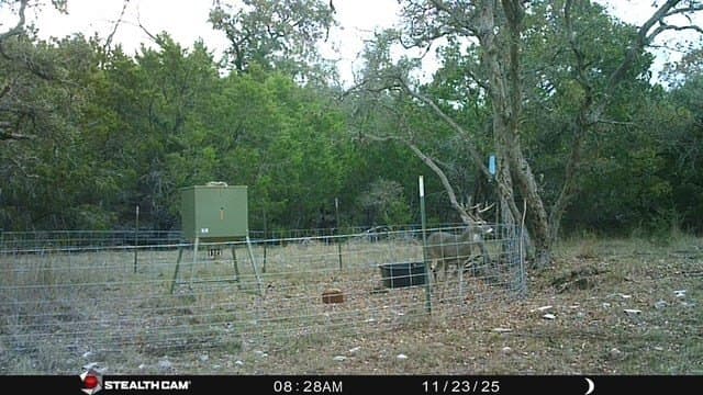 125 acres in Kimble County - photo 37