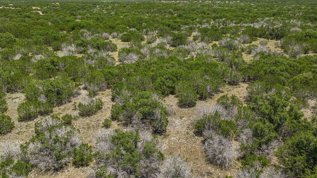 125 acres in Kimble County - photo 28