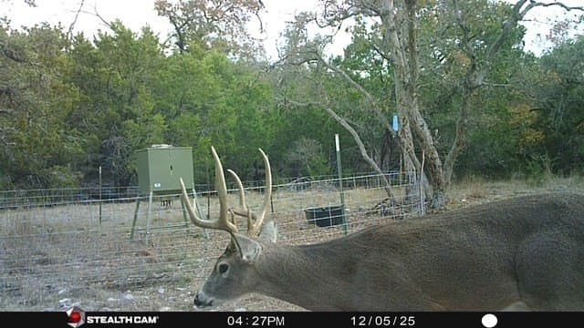125 acres in Kimble County - photo 35