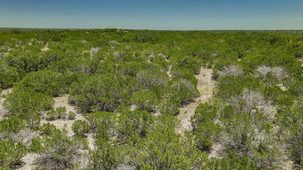 125 acres in Kimble County - photo 39