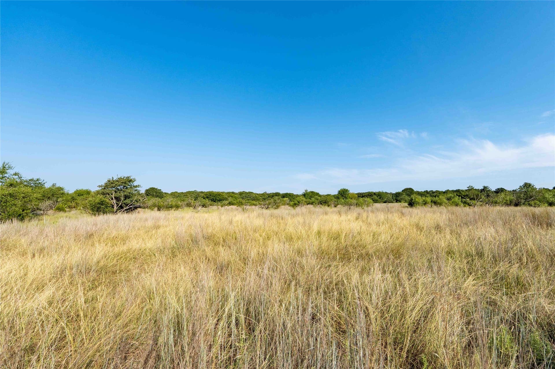 25 acres in Clay County - photo 8
