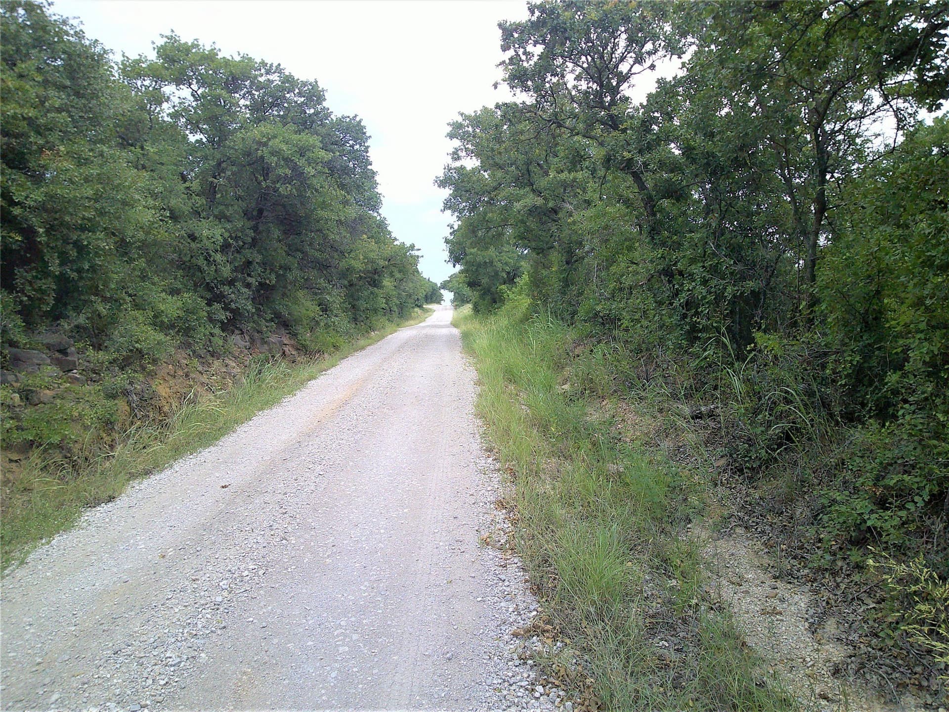 25 acres in Clay County - photo 13