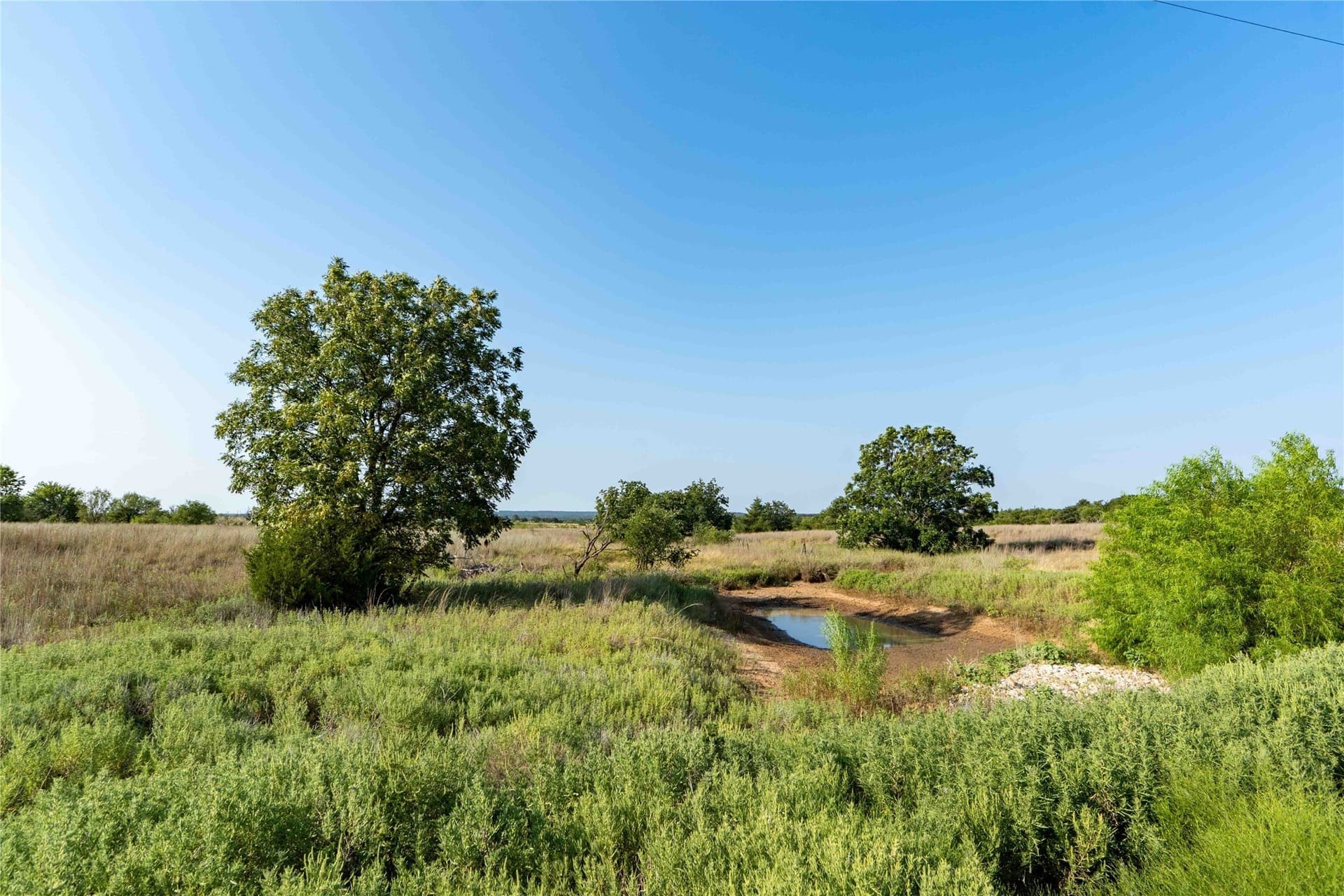 25 acres in Clay County - photo 12